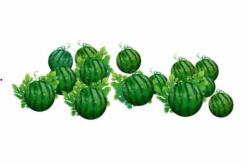 阿麦吃瓜,揭秘娱乐圈背后的那些事儿