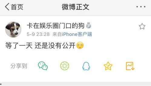 迅雷吃瓜爆料,揭秘娱乐圈幕后真相