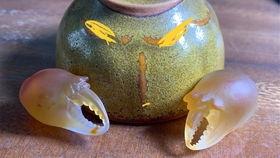 圣叔吃瓜,揭秘娱乐圈幕后故事