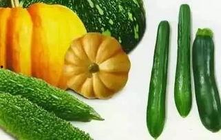 梧桐吃瓜后续,揭秘娱乐圈背后的秘密与真相