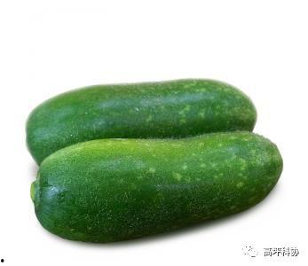 怀孕吃嫩瓜尖,嫩瓜尖的营养价值与食用指南