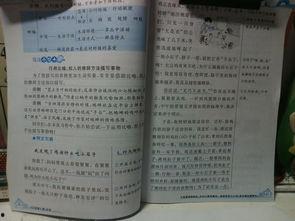 炎夏吃瓜的短文