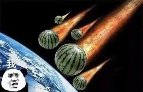 吃瓜吃枣的文案,一场味蕾的盛宴