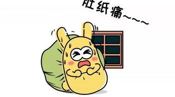 正确吃瓜群众宿舍,吃瓜群众的欢乐时光