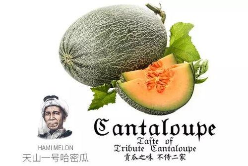 大院吃瓜小说推荐,揭秘吃瓜小说中的豪门恩怨