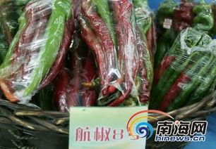 捧瓜菜怎么吃,解锁夏日清新美食新境界