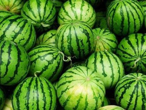 吃瓜延缓衰老,揭秘延缓衰老的秘密武器