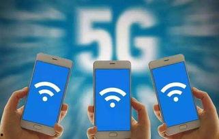 苹果手机无法吃瓜,科技与“吃瓜”的奇妙碰撞