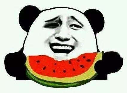 吃瓜看车,揭秘车界风云