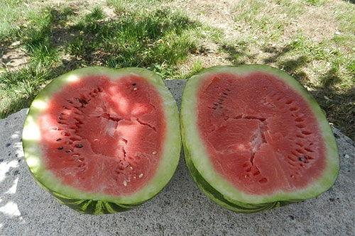 梦见在河边吃瓜,梦境中的悠闲时光