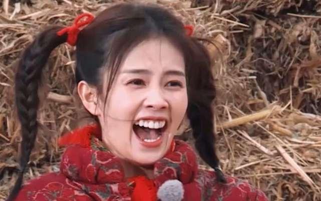 白鹿吃瓜表情包,网络热梗背后的趣味与思考