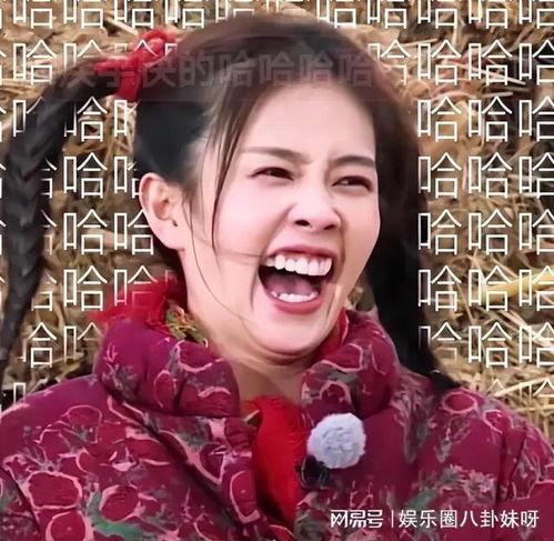 白鹿吃瓜表情包,网络热梗背后的趣味与思考