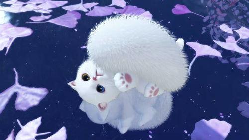 逆水寒吃瓜猫猫