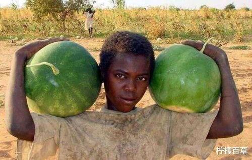 全球人吃瓜,揭秘网络时代的全民娱乐盛宴