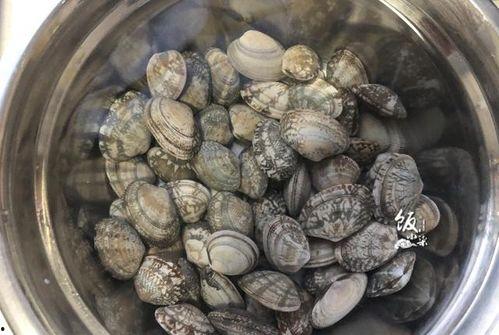 每日吃瓜蘑菇,蘑菇世界里的奇妙探险