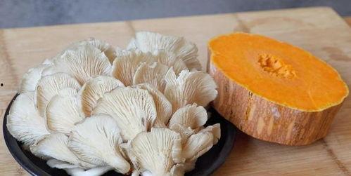 每日吃瓜蘑菇,蘑菇世界里的奇妙探险