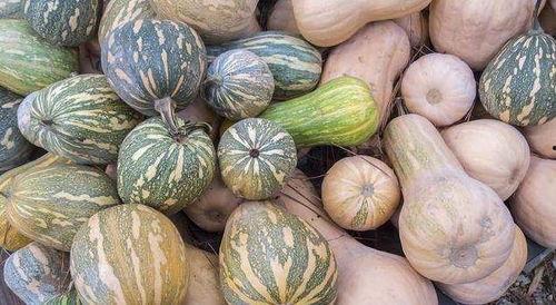 女性夏天吃瓜好吗,女性吃瓜的益处与选择指南