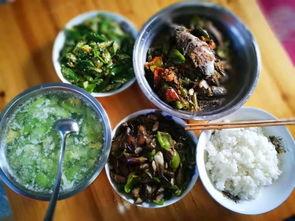 葫芦瓜炒木耳吃,葫芦瓜炒木耳，营养搭配新体验