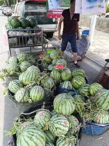 临沂新泰吃瓜事件,网络热议背后的真相与反思