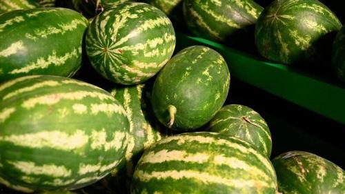 临沂新泰吃瓜事件,网络热议背后的真相与反思