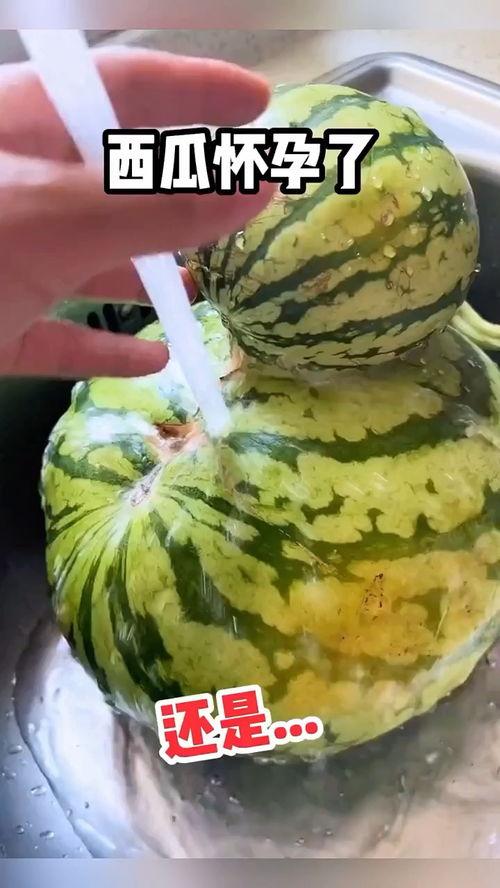 吃瓜搞笑配乐大全视频