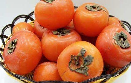 吃柿子忌吃老方瓜吗