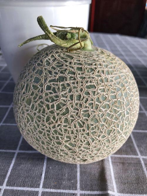 玫珑瓜硬着吃,硬核玫珑瓜的硬核吃法