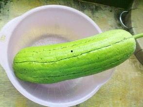 刺瓜是水瓜吗怎么吃,探索刺瓜的独特食用方法