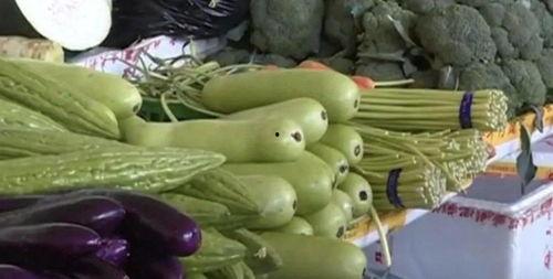 全家带板凳吃瓜,共享夏日吃瓜时光