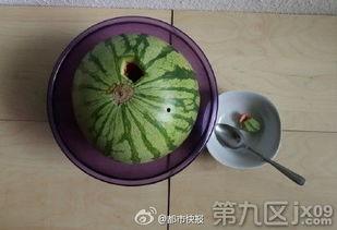 吃瓜jpg种子,一场视觉盛宴的幕后故事