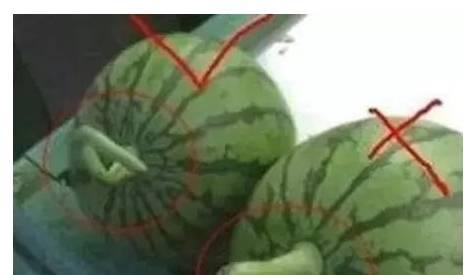 吃瓜会有危险吗,揭秘吃瓜背后的潜在风险