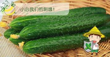 吃瓜会有危险吗,揭秘吃瓜背后的潜在风险