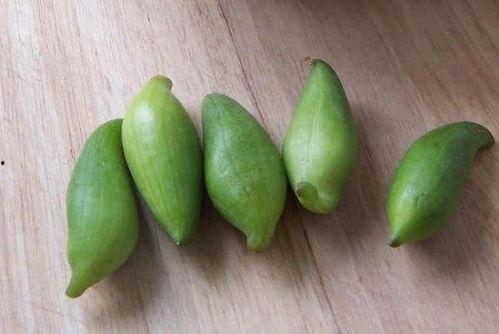 青雀吃瓜后续,揭秘娱乐圈背后的秘密与真相