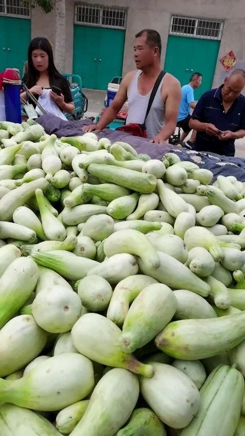 卖老人吃的瓜,卖老人吃的瓜，传递温暖与关怀