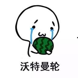 发起挑战的吃瓜,谁才是瓜界高手? 第2张 发起挑战的吃瓜,谁才是瓜界高手? 第2张