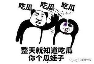 发起挑战的吃瓜,谁才是瓜界高手? 第3张 发起挑战的吃瓜,谁才是瓜界高手? 第3张