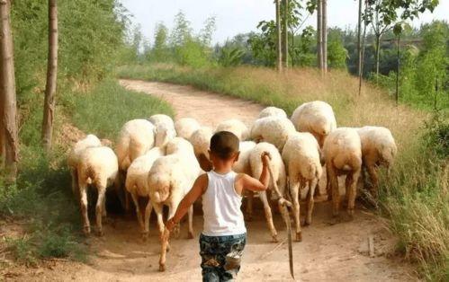 内蒙吃瓜照片  第3张