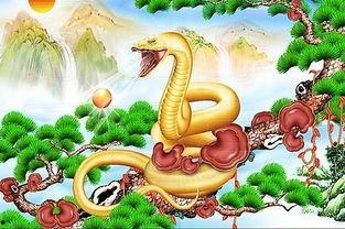 生龙活虎吃瓜真满足,揭秘现代生活的快乐源泉  第2张