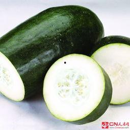 夏天吃瓜少女头像,清凉头像映眼帘  第3张