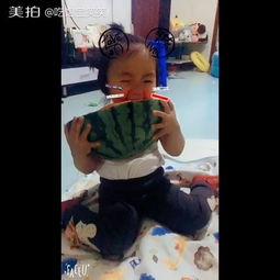 带你吃瓜 搞笑视频,“带你吃瓜”搞笑视频集锦