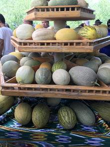 吃瓜的观众作品,吃瓜群众视角下的娱乐圈风云录  第3张