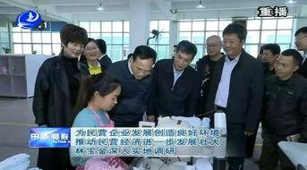 林宝金吃瓜,揭秘娱乐圈的“瓜田”风云  第2张