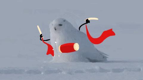 吃瓜白鸟表情包,趣味横生的网络文化现象  第1张