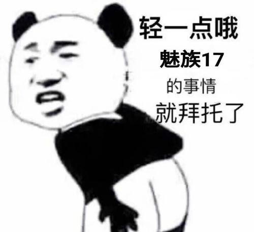 吃瓜白鸟表情包,趣味横生的网络文化现象  第3张