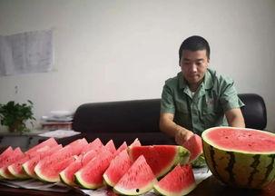 幸福吃瓜群众视频,揭秘短视频背后的欢乐与温情  第3张