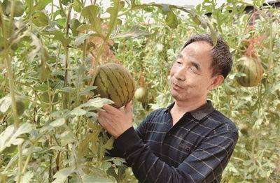 纤芯吃瓜,揭秘光纤通信中的奥秘  第3张