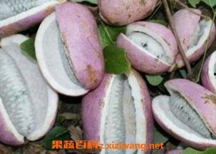 恩施吃瓜新闻最新,真相竟如此惊人！