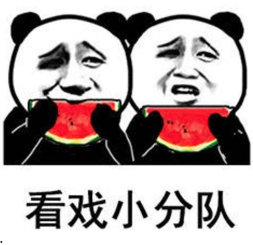 吃瓜各种表情包,网络时代的趣味社交语言