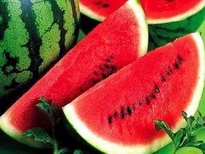 考试前可以吃瓜吗