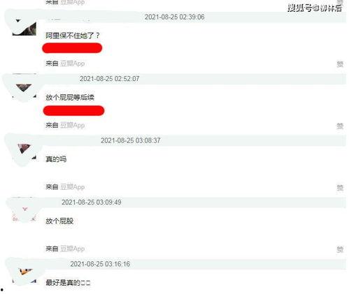 叮当视频吃瓜网址,带你领略网络娱乐新风尚  第2张